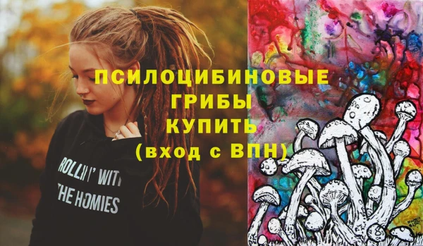 твердый Нея